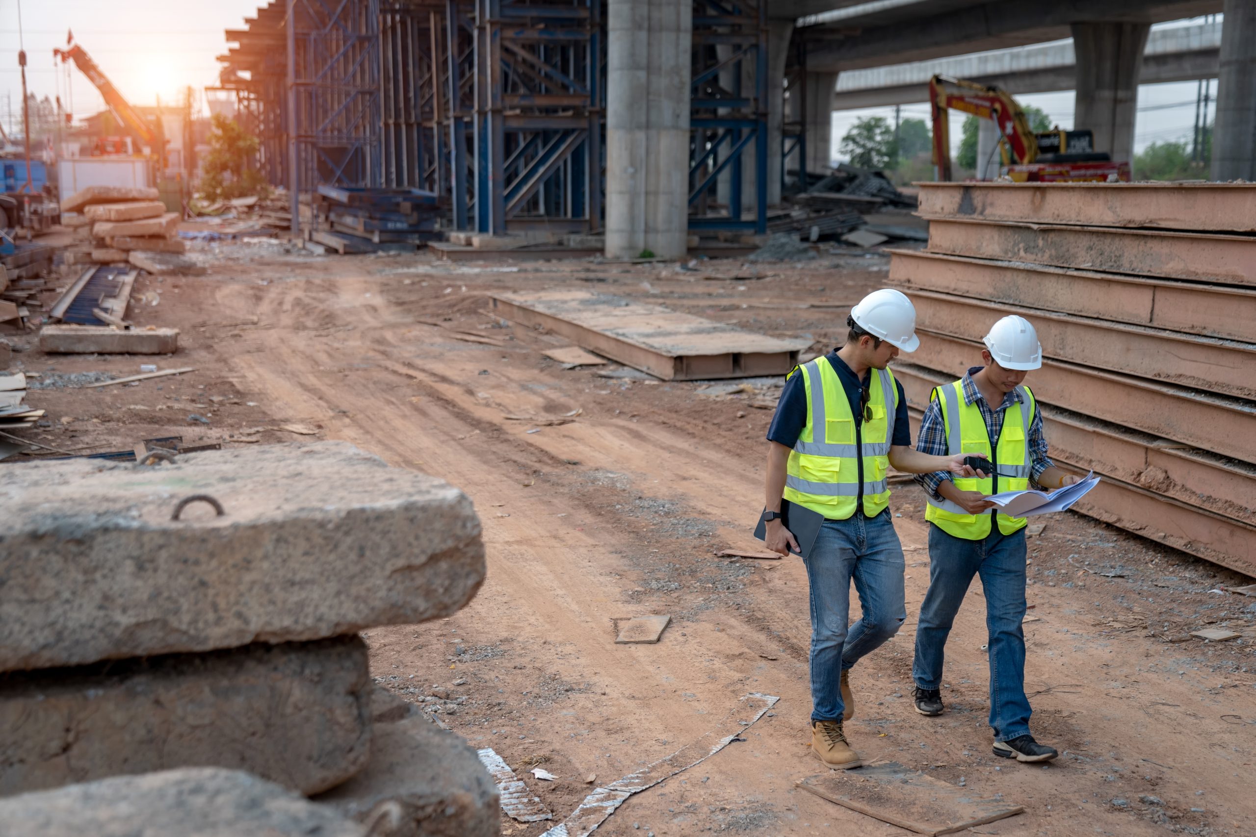 RICS Surveyors Explained - Checkmate